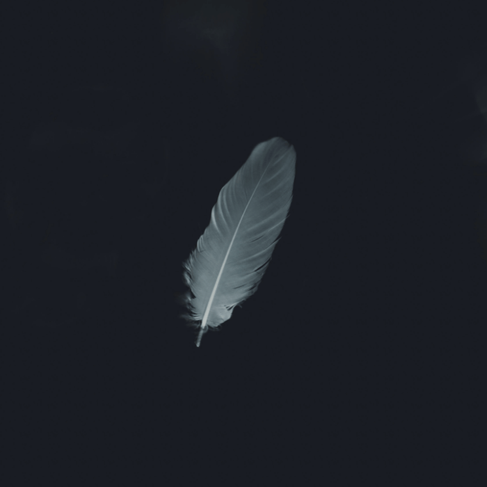This photo appears to be a white feather, representing an angel surrounded by darkness but also representing peace among artists split by the Russian-Ukrainian War.