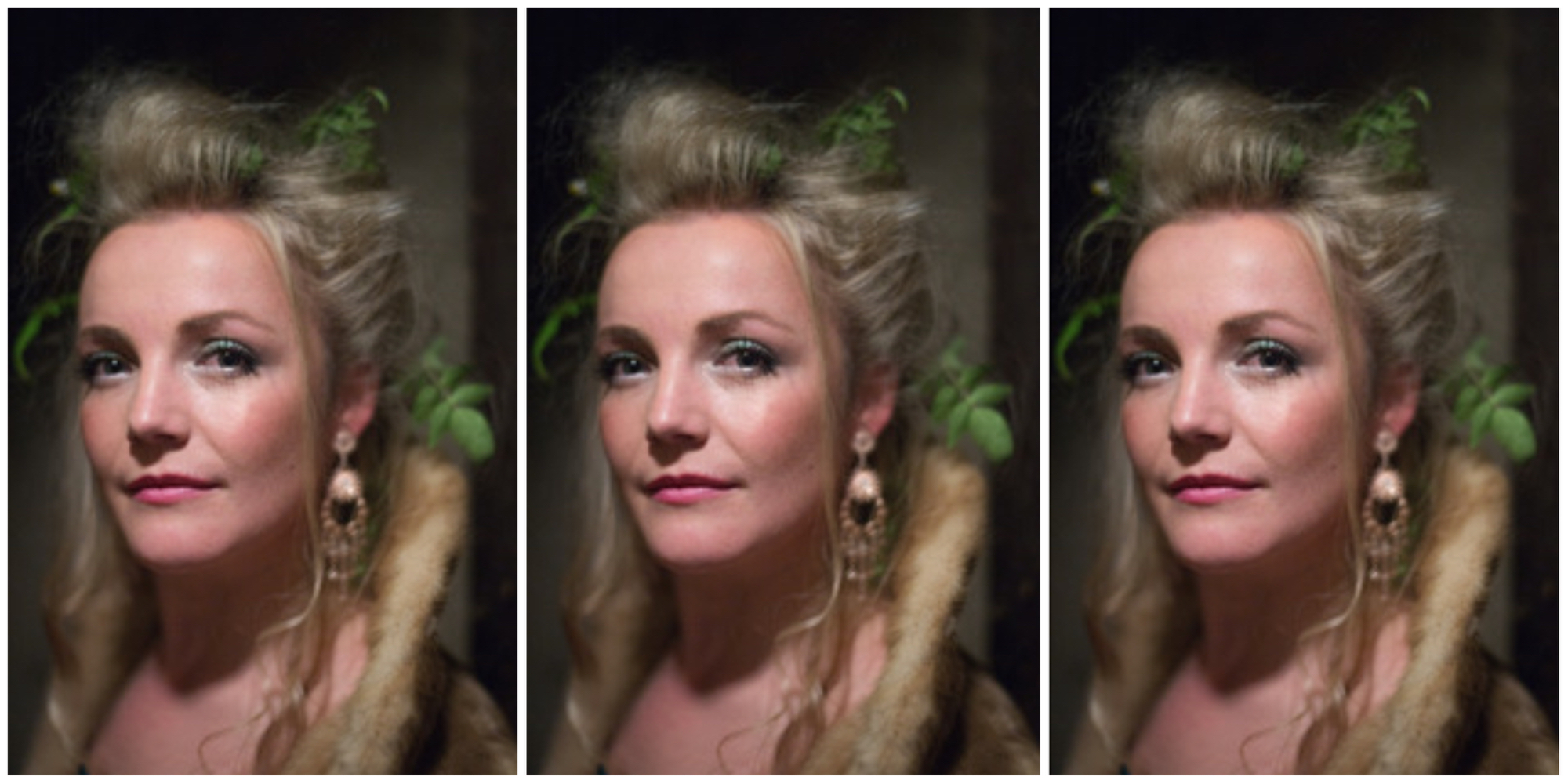 Q & A Director Daisy Evans On The Haydn Foundation’s World