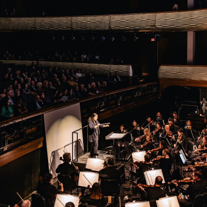The Dallas Opera Hart Institute