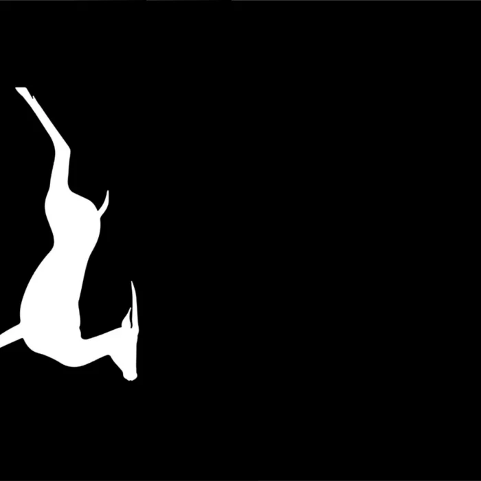 Die Frau ohne Schatten