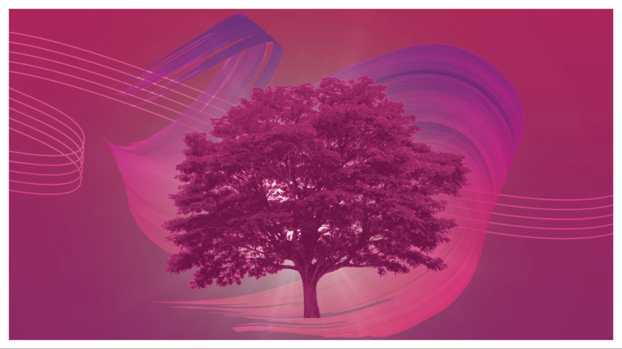 Royal Philharmonic Orchestra Announces 2026-27 Programming Featuring Miah Persson, Ed Lyon & Lucy Crowe