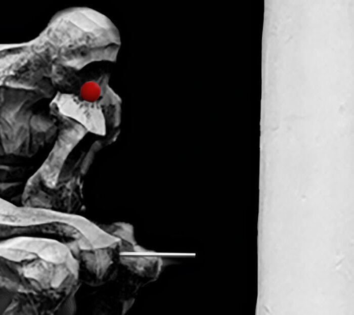 Absurdópera Absurdópera