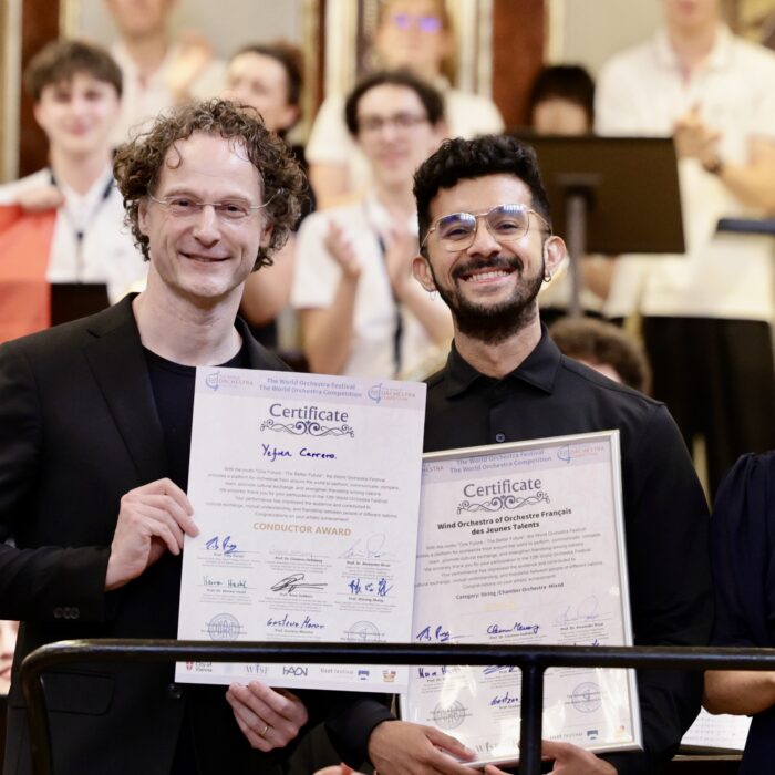 Copie de Prix au Musikverein Musikverein