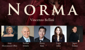 Norma Poster